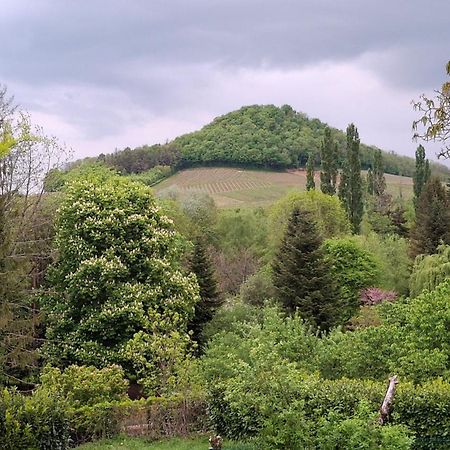 Studio Dans Belle Maison Ancienne Et Jardin Ferme L'Etoile  Экстерьер фото
